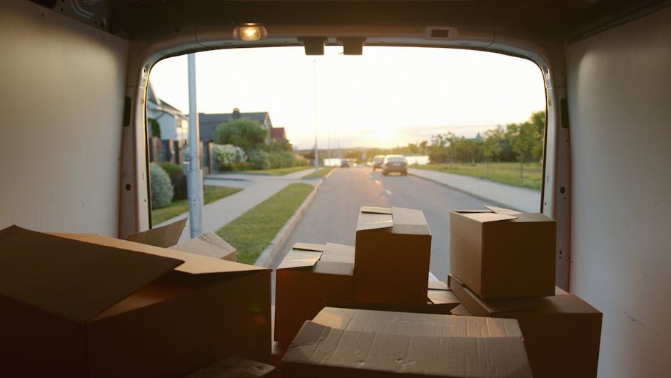 Two white Mercedes-Benz panel vans parked side by side on a paved road with clear blue sky and green trees in the background, showcasing different sizes of cargo vehicles used in house removals and fu